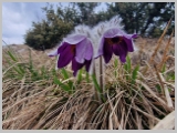 Slika_037.webp