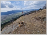 Slika_040.webp