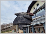 Slika_051.webp
