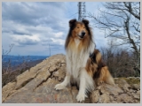 Slika_060.webp