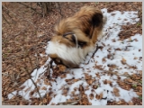 Slika_071.webp