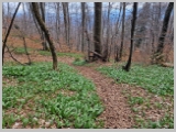 Slika_079.webp