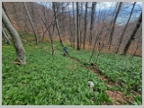 Slika_083.webp