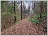 Slika_087.webp