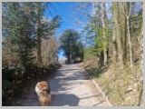 Slika_002.webp