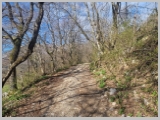 Slika_004.webp