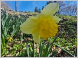 Slika_005.webp