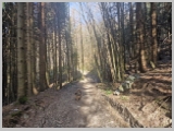 Slika_007.webp