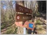 Slika_009.webp