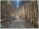 Slika_010.webp