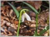 Slika_012.webp