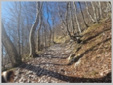 Slika_020.webp
