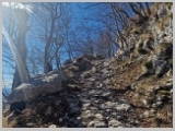 Slika_021.webp