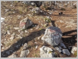 Slika_023.webp
