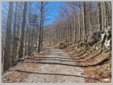 Slika_025.webp