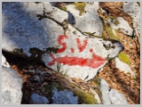 Slika_026.webp