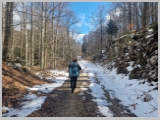 Slika_031.webp