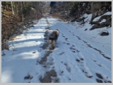 Slika_033.webp