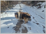 Slika_034.webp