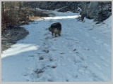Slika_035.webp