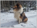 Slika_037.webp