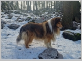 Slika_038.webp