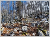 Slika_040.webp