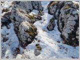 Slika_042.webp