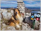 Slika_045.webp
