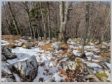 Slika_048.webp