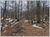Slika_054.webp