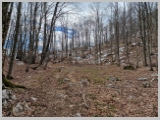 Slika_055.webp
