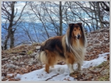 Slika_056.webp