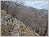 Slika_057.webp