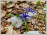 Slika_064.webp
