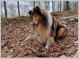 Slika_065.webp