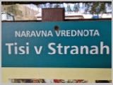 Slika_075.webp