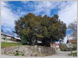 Slika_078.webp