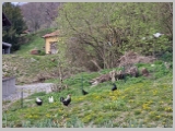 Slika_080.webp