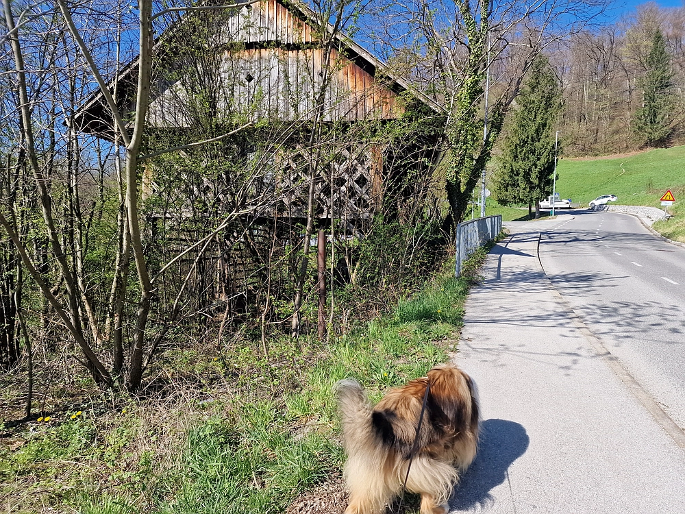 Tabor, 5. 4. 2026