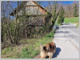 Slika_002.webp