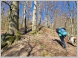 Slika_004.webp
