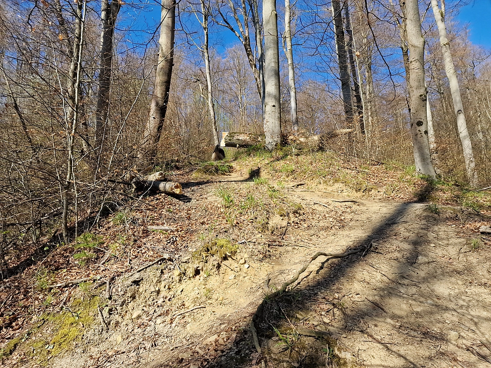 Tabor, 5. 4. 2026