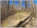 Slika_005.webp