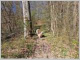 Slika_006.webp