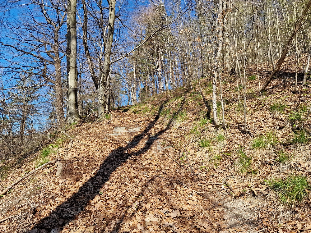 Tabor, 5. 4. 2026