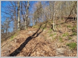 Slika_011.webp