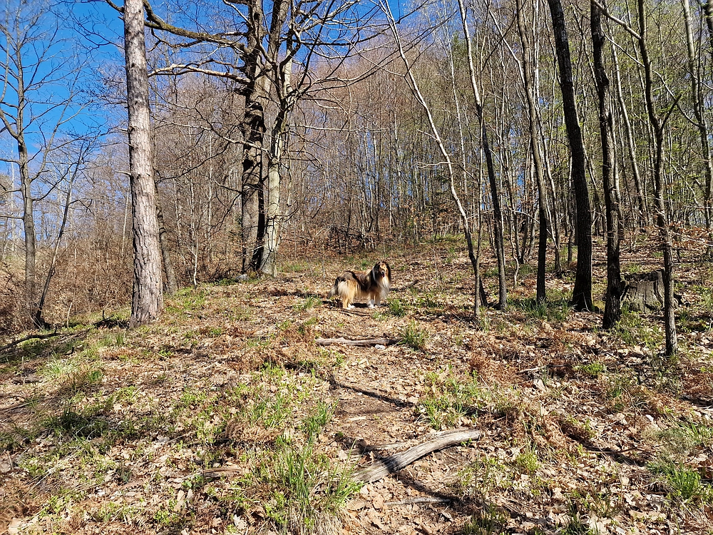 Tabor, 5. 4. 2026