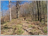 Slika_012.webp