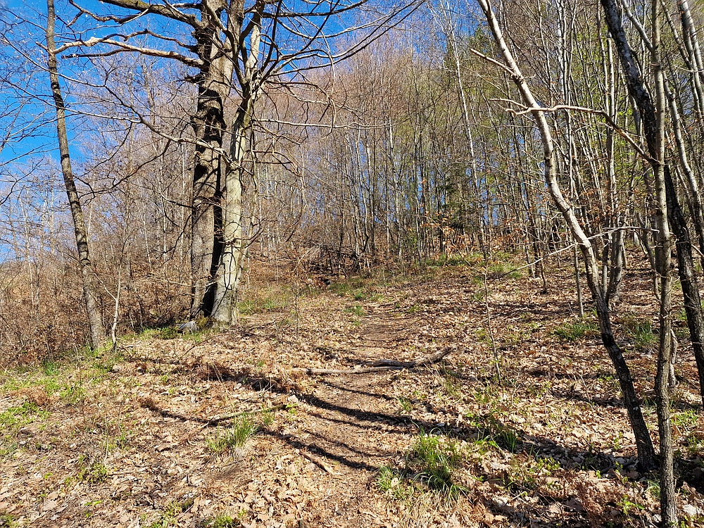 Tabor, 5. 4. 2026